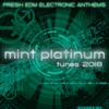Mint Platinum Tunes: Fresh Electronic Anthems 2018