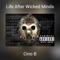 Cruise Slow (feat. Steel City Hustlers) - Cino B lyrics