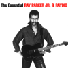 Ray Parker Jr. & Raydio - The Other Woman ilustración