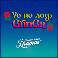Yo No Soy Gringa - Single - Orquesta Atípica de Lhamas