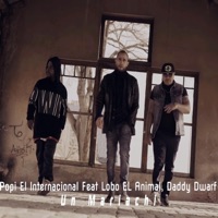 Un Mariachi (feat. Lobo el Animal & Daddy Dwarf) - Single - Popi El Internacional