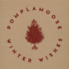 Pomplamoose - Winter Wishes artwork