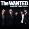 Glad You Came (Alex Gaudino Remix) - The Wanted lyrics