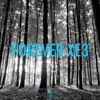 Forever Xe3 (Vibe Mashup) - Single