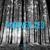 Forever Xe3 (Vibe Mashup) artwork