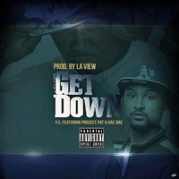 Get Down (feat. Project Pat) - Single - Y.S