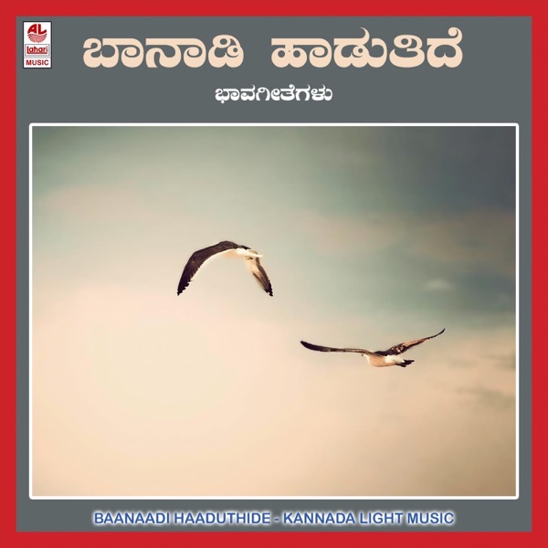 Baanaadi Haaduthide