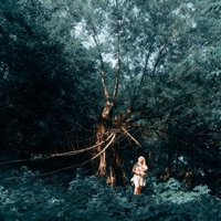 Blue Ridge (Intro) - Single - Yomi
