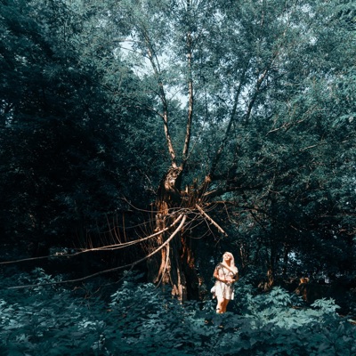 Blue Ridge (Intro) - Single