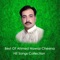 Meda Nikiya Da Dholna - Ahmed Nawaz Cheena lyrics