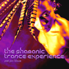 The Shamanic Trance Experience - Piet Jan Blauw