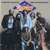 David Bromberg - I Want To Go Home