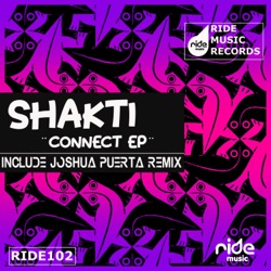 Connect (Joshua Puerta Dub Mix)