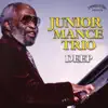 Junior Mance - Small Fry (feat. Martin Rivera & Walter Bolden)