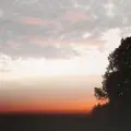 Falling