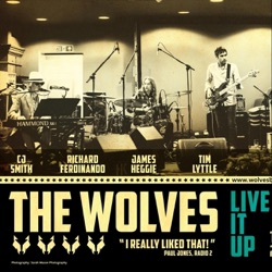The Wolves - One Way Ticket to the Blues