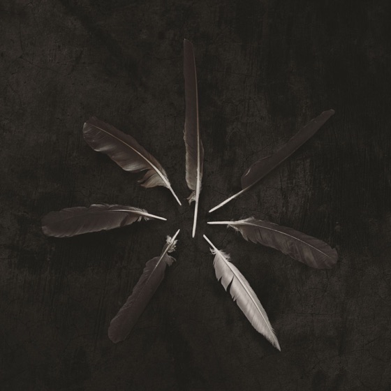 Cover artwork for Run Dry