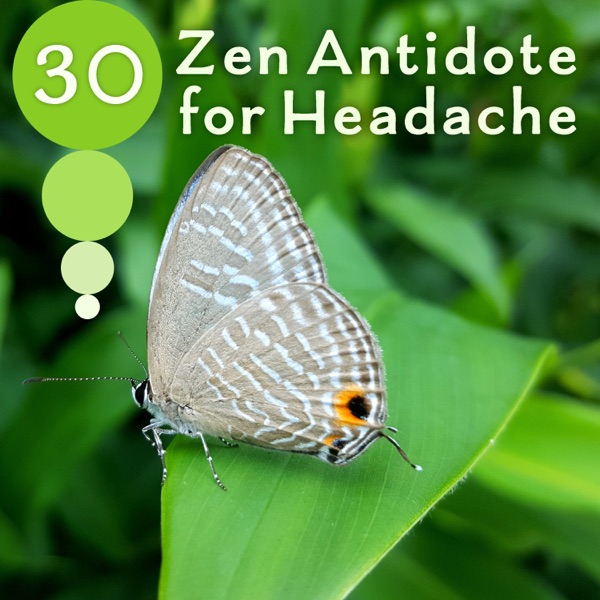 30 Zen Antidote for Headache: Nature Sounds Therapy, Music Tranquility, Migraine Relief, Pain Remedy & Instrumental Wellbeing