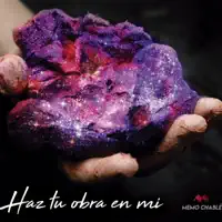 Mi Deleite Está en Ti — Memo Chablé