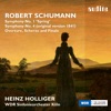 Schumann: Complete Symphonic Works, Vol. I