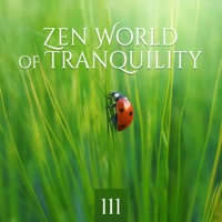 Zen World of Tranquility: 111 Relaxation Music with Nature for Inner Peace and Harmony, Therapy for Deep Sleep, Mindfulness Meditation and Yoga - Garden of Zen Music