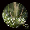 Jacob Newman & Devin Underwood - Creature Loops