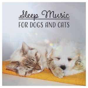 Sleep Music for Dogs and Cats: Calming Music for Animals at Home Alone, Pet Therapy Sounds, Relax and Calm Down Your Pets