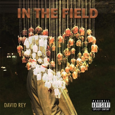 In the Field - Single