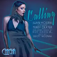 Wildness of the Heart (feat. Terry Dexter) — Juan Hoerni