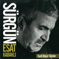 Esat Kabaklı - Nem Alacak