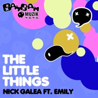 The Little Things (feat. Emily) - Nick Galea