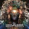Fire Gathering (Suduaya Remix) - Liquid Bloom