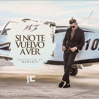 Si No Te Vuelvo a Ver - Single