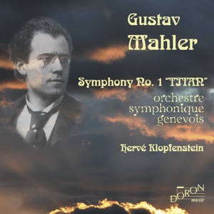 Symphony No. 1 in D Major 