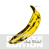 The Velvet Underground & Nico 45th Anniversary (Deluxe Edition) artwork