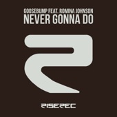 Never Gonna Do (feat. Romina Johnson) [Phunk Investigation Dub] artwork