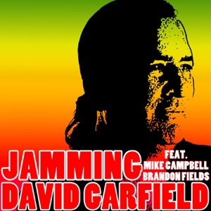 Jamming (feat. Mike Campbell & Brandon Fields) - Single