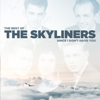 The Skyliners - Since I Don't Have You ilustración