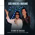 Se Eu Não Puder Te Esquecer