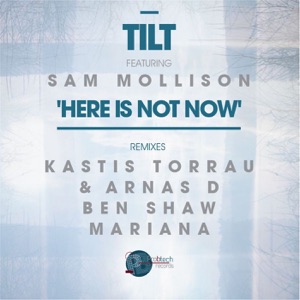 Here Is Not Now (feat. Sam Mollison) [Ben Shaw Remix]