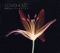 Sad Movie - Loveholic lyrics