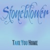 Take You Home (Radio Edit) - Single