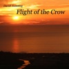 Flight of the Crow artwork
