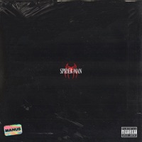 Spiderman - Single - Manus