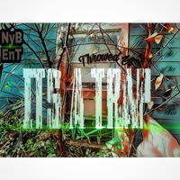 Its a Trap - Single - Throwed Yt