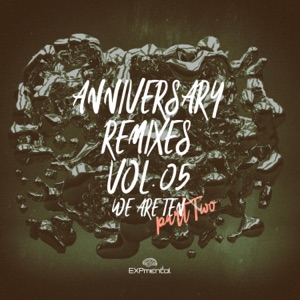 Anniversary Remixes Vol.05 We Are Ten Part Two - Single