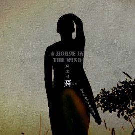 风之马 Tianqi Shun, 宁静 & Bao Luo