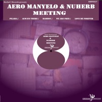 Meeting - Nuherb & Aero Manyelo