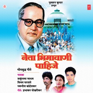Neta Bheemavani Pahije