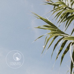 Sonbird - Hel